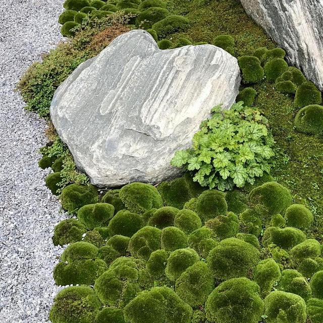 4Pcs/set Artificial Moss Rocks Decorative Green Moss Balls For